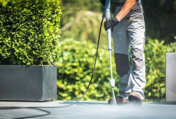 Bring Back the Shine with Clean Life Professional Services